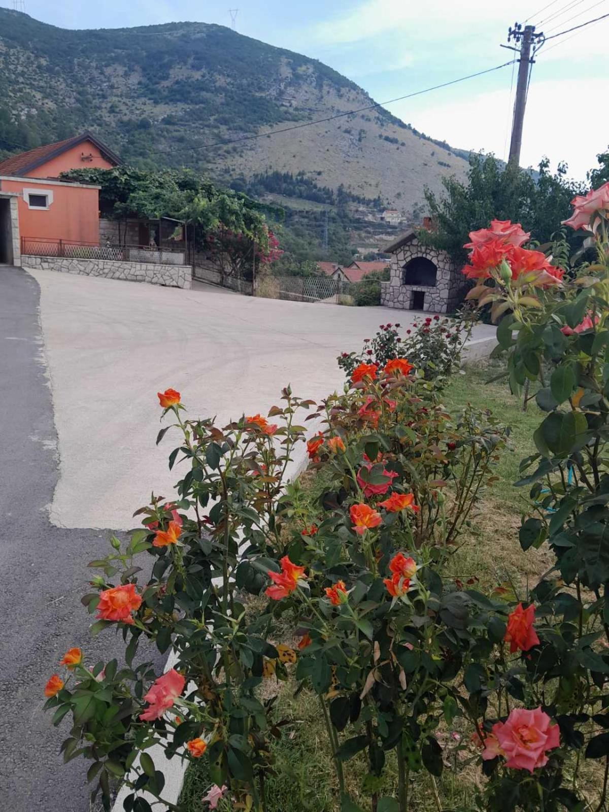 Apartman Vlacic Trebinje Exterior foto